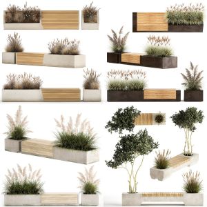 Bushes For Landscaping And Urban Environments