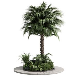 Palm Garden Outdoor Plant Collection 138