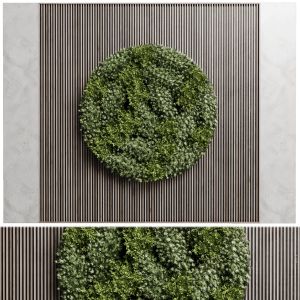 Circle Garden Wall Plant With Wooden Frame Decor