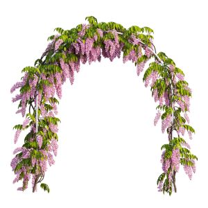 Wisterial Plant 13 Set 02