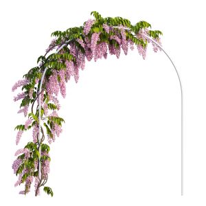 Wisterial Plant 13 Set 01