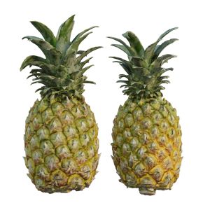 Pineapple 02