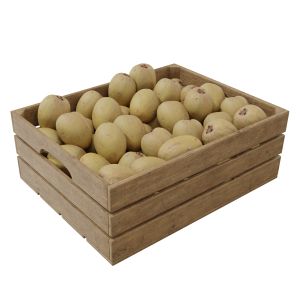 Sapodilla Crates