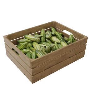 Snake Gourd Crates