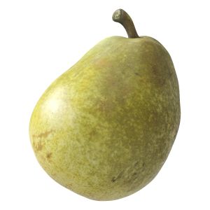 Kieffer Pear