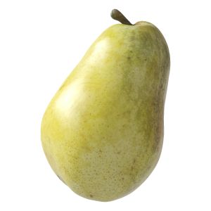 Kieffer Pear