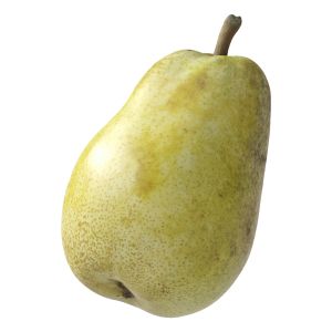 Kieffer Pear