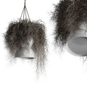 Hanging Birds Nest With Pendant Lights 321 Dried