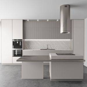 Modern Kitchen 51