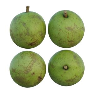 Star Apple 02