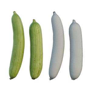 Sponge Gourd 02