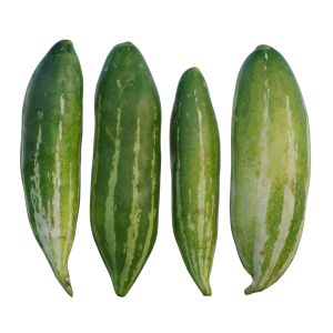 Snake Gourd