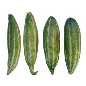 Snake Gourd 02