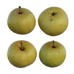 Pear 07