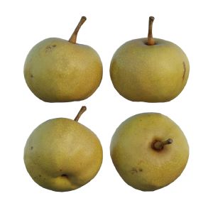 Pear 08