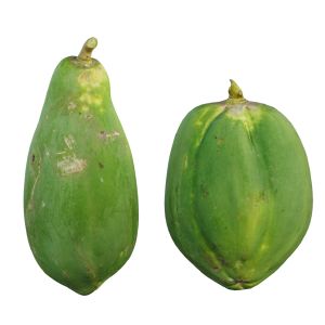 Papaya