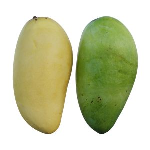 Mango 05