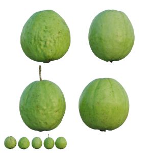 Guava