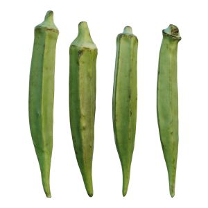 Fresh Okra