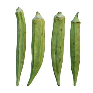 Fresh Okra 02