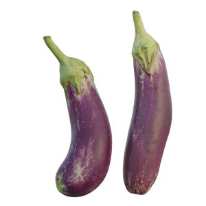 Eggplant 05