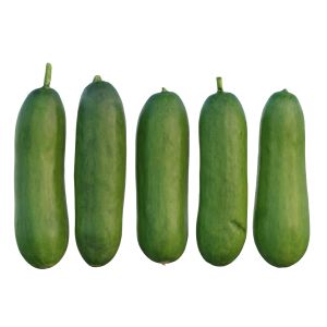 Baby Cucumber 05