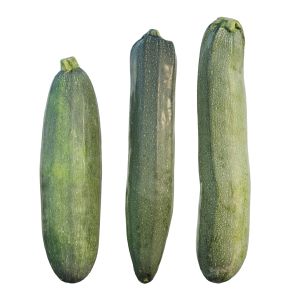 Large Courgette