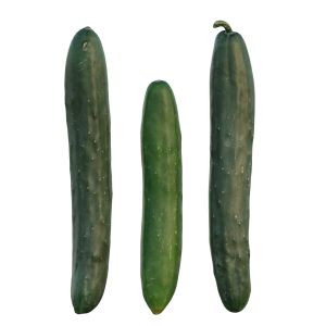 Japanese Cucumber