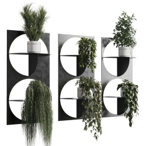 Wall Plant Set Indoor Plant 324 Plants In On A S