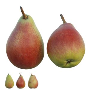 Cheeky Pear