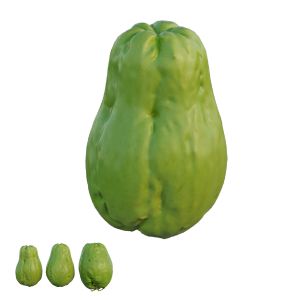 Chayote 02