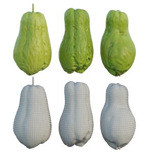 Chayote 03