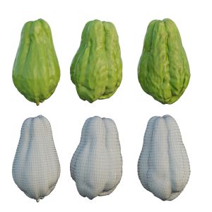 Chayote 04