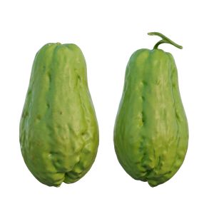 Chayote 05