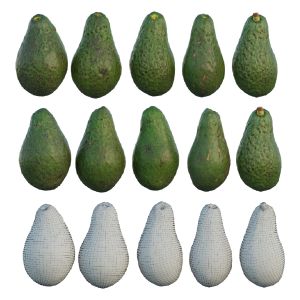 Pinkerton Avocado