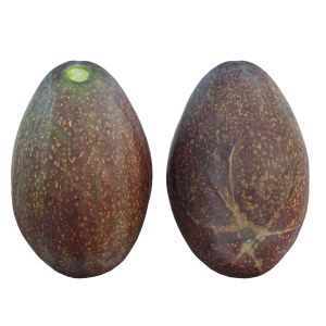 Avocado 02