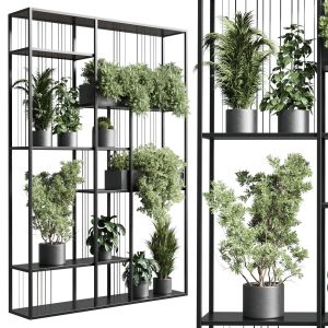 Standing Metal Shelf With A Set Of Plants In Concr