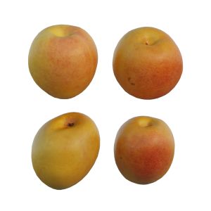 Apricot 02