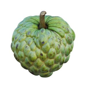 Custard Apple