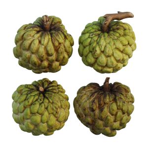 Custard Apple 02