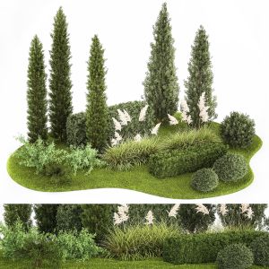 Garden Of Thuja Cypress Trees With Pampas Grass