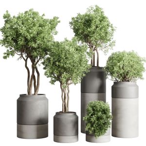 Collection Outdoor Indoor Plant 61 Concrete Vase