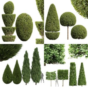 5 Different SETS of Plant. SET VOL116