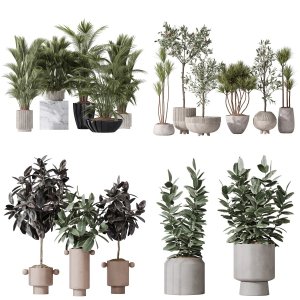 5 Different SETS of Plant Indoor. SET VOL119