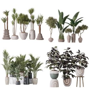 5 Different SETS of Plant Indoor. SET VOL120