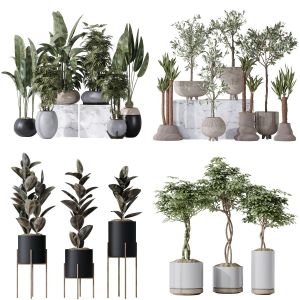 5 Different SETS of Plant Indoor. SET VOL121