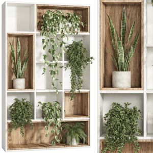 Indoor Plant Stand 03_wooden Box