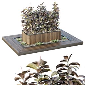 Hq Tree And Bush Garden Box Outdoor  Vol 33