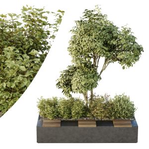 Tree And Bush Garden Box Outdoor  Vol 34