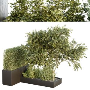 Hq Tree And Bush Garden Box Outdoor  Vol 35